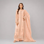 NUREH | 3 piece heavy embroidered soft organza wedding suit