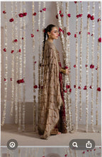 ALANI Royal Maroon | 3 pieces heavy embroidered chiffon Maxi Dress