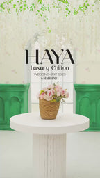 HAYA | 3 piece chiffon suit with heavy embroidered organza duppatta